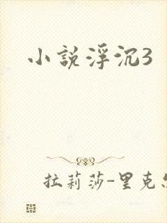 小说浮沉3