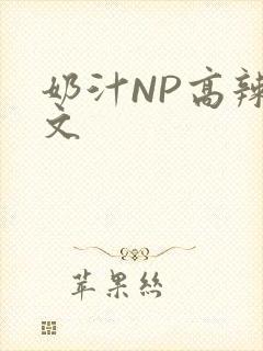 奶汁NP高辣H文