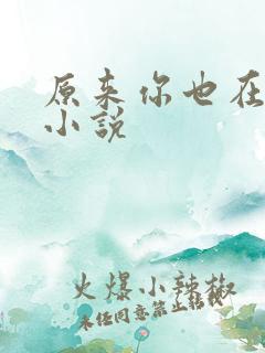 原来你也在这里小说
