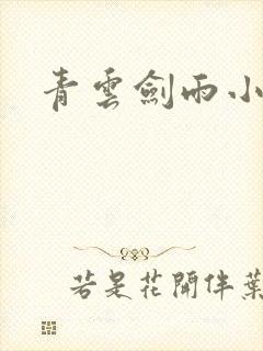青云剑雨小说