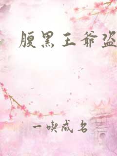 腹黑王爷盗墓妃