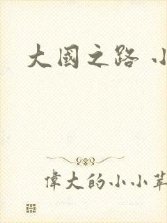大国之路 小说