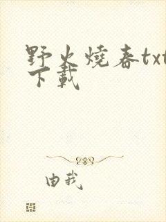 野火烧春txt下载