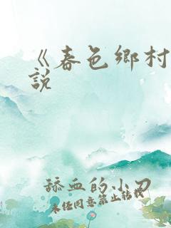 《春色乡村》小说