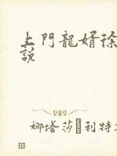 上门龙婿徐阳小说