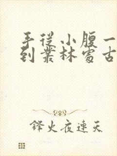 手从小腹一路开到丛林处古代