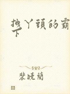 拽丫头的霸道殿下