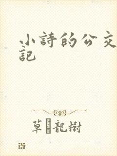 小诗的公交车日记
