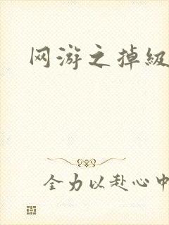 网游之掉级专家