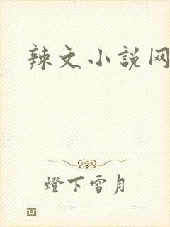 辣文小说网