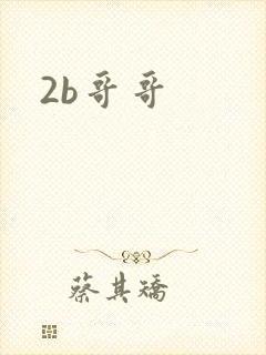 2b哥哥