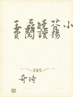 王磊晓芬小说免费阅读杨