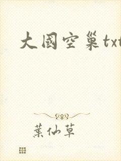 大国空巢txt