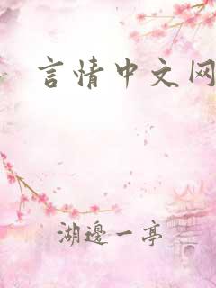 言情中文网