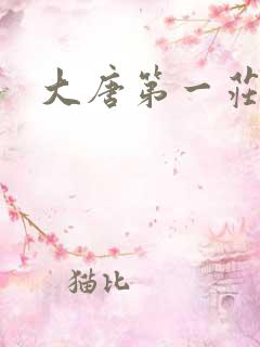 大唐第一庄