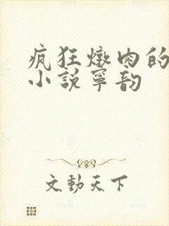 疯狂炖肉的全部小说宁韵