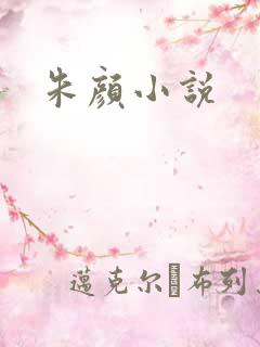 朱颜小说