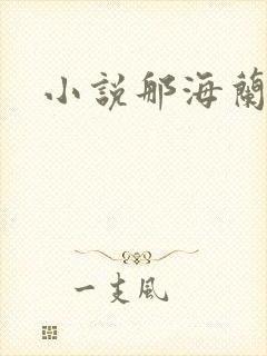 小说那海兰珠