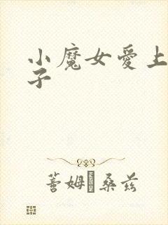 小魔女爱上皇太子