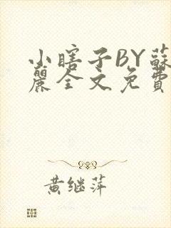 小瞎子BY苏玛丽全文免费笔趣阁