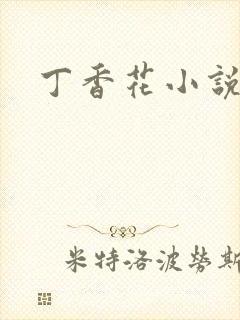 丁香花小说