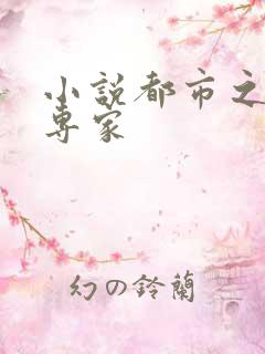 小说都市之军火专家