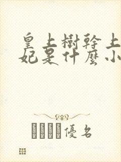 皇上树干上太子妃是什么小说