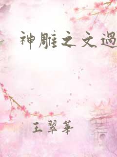 神雕之文过饰非