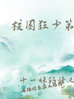 校园狂少第二部