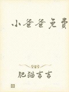 小爸爸免费下载