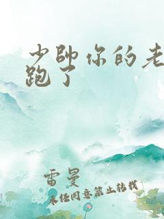 少帅你的老婆又跑了