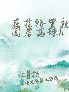 在花轿里就开始圆房高辣h