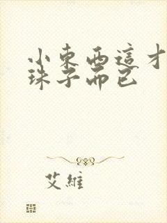 小东西这才一颗珠子而已