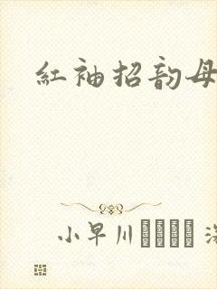 红袖招韵母攻略