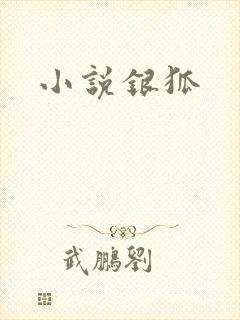 小说银狐