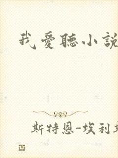 我爱听小说