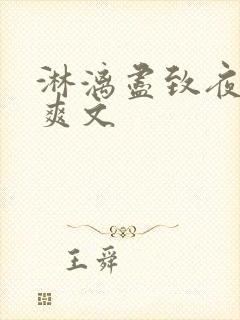 淋漓尽致夜晚小爽文