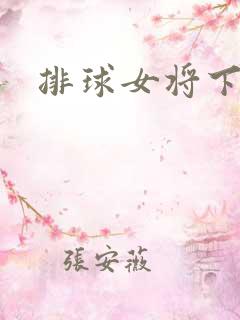 排球女将下载
