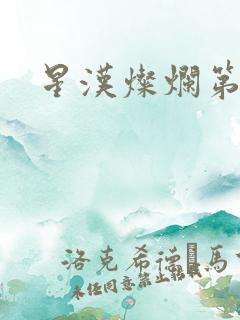 星汉灿烂第二部