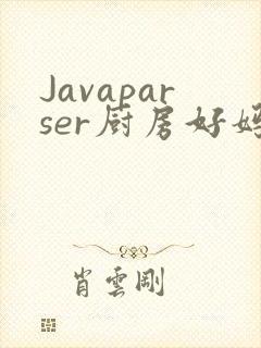 Javaparser厨房好妈妈