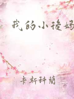 我的小后妈小说