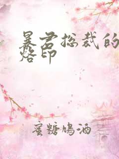 暴君总裁的狂烈烙印