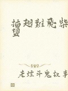 插翅难飞柴米油盐