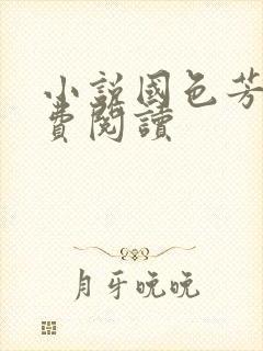 小说国色芳华免费阅读