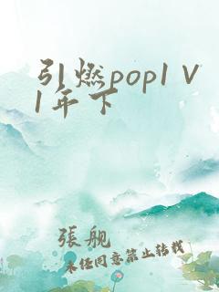 引燃pop1∨1年下