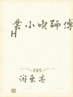 丛小吃师傅的HH