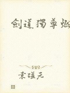 剑道独尊燃文