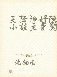 天降神婿陈黄皮小说免费阅读