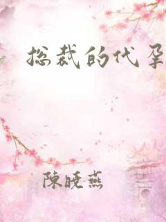 总裁的代孕女友