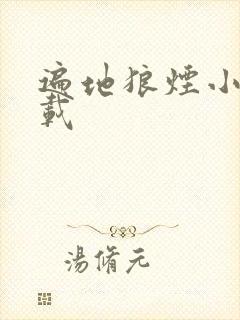 遍地狼烟小说下载